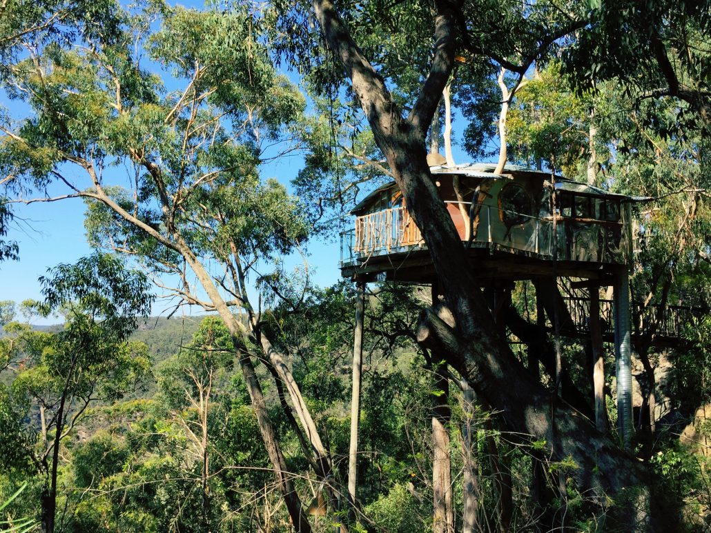 tree house australia