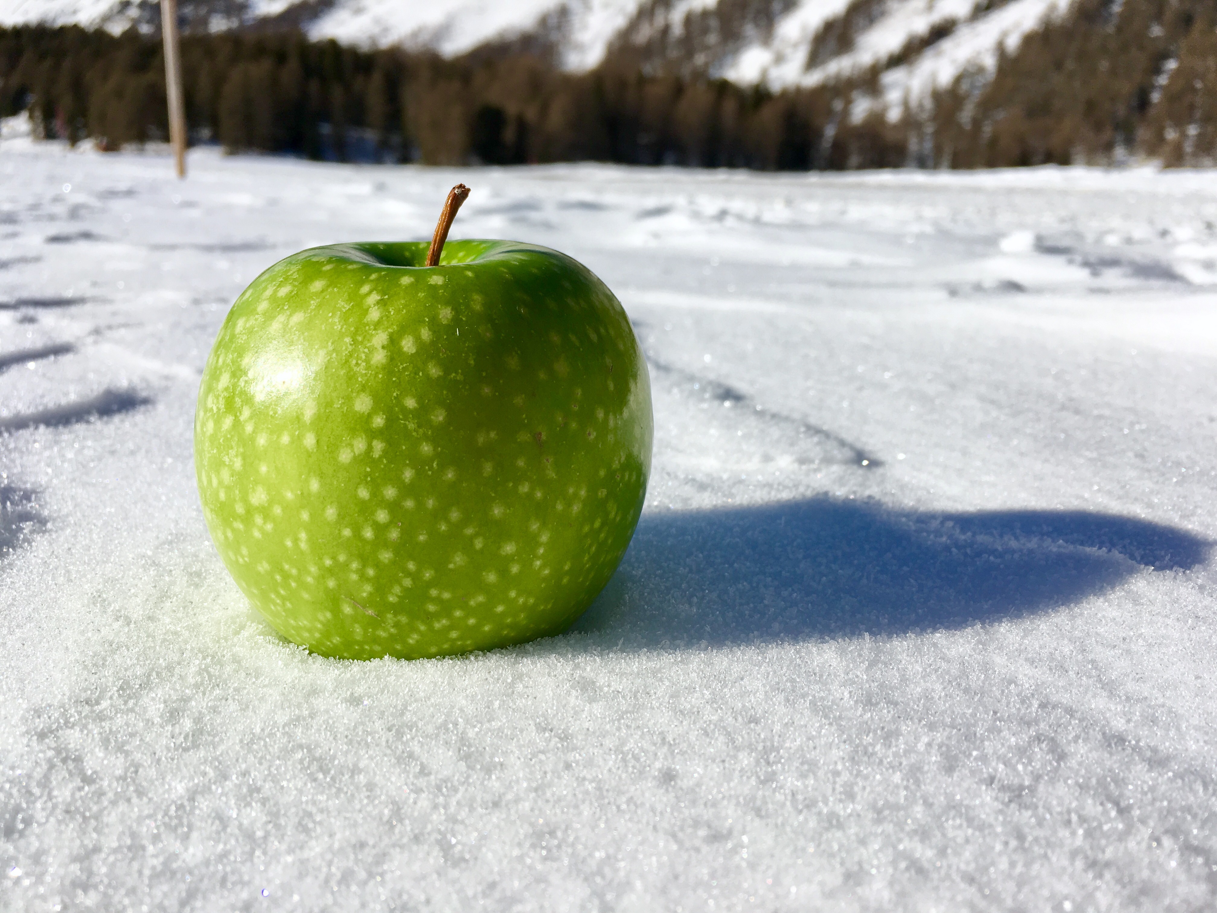 Der grüne Apfel auf dem Silsersee