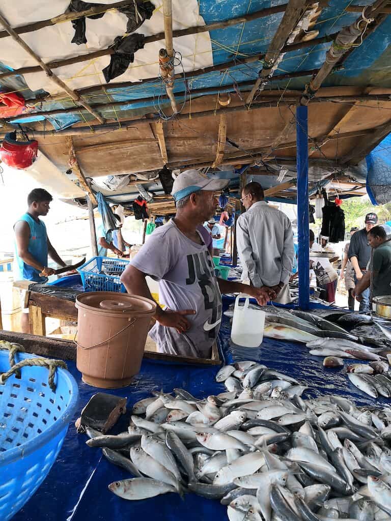 sri lanka fish