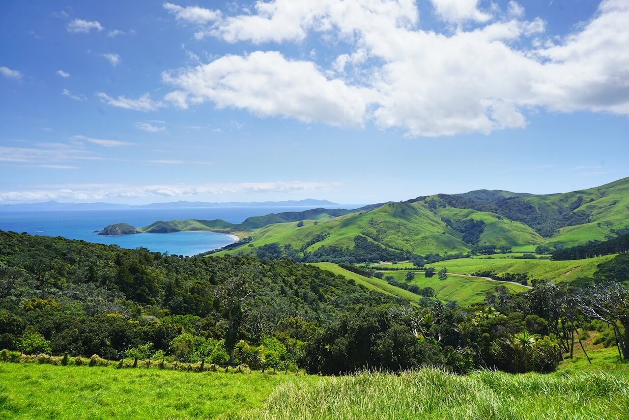 New Zealand north island